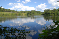 New London, NH - Goose Pond - Summer